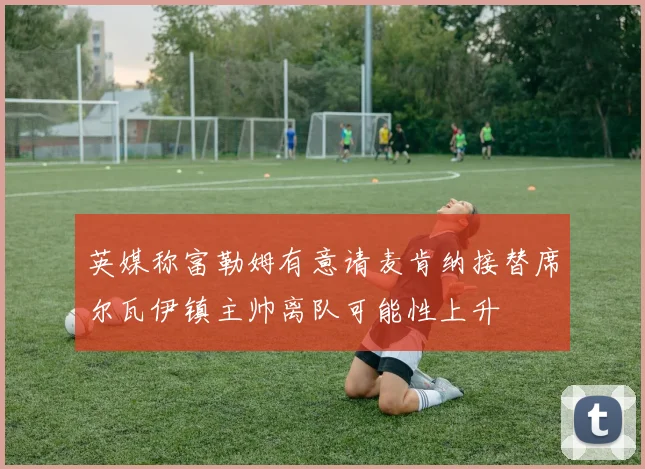 英媒称富勒姆有意请麦肯纳接替席尔瓦伊镇主帅离队可能性上升
